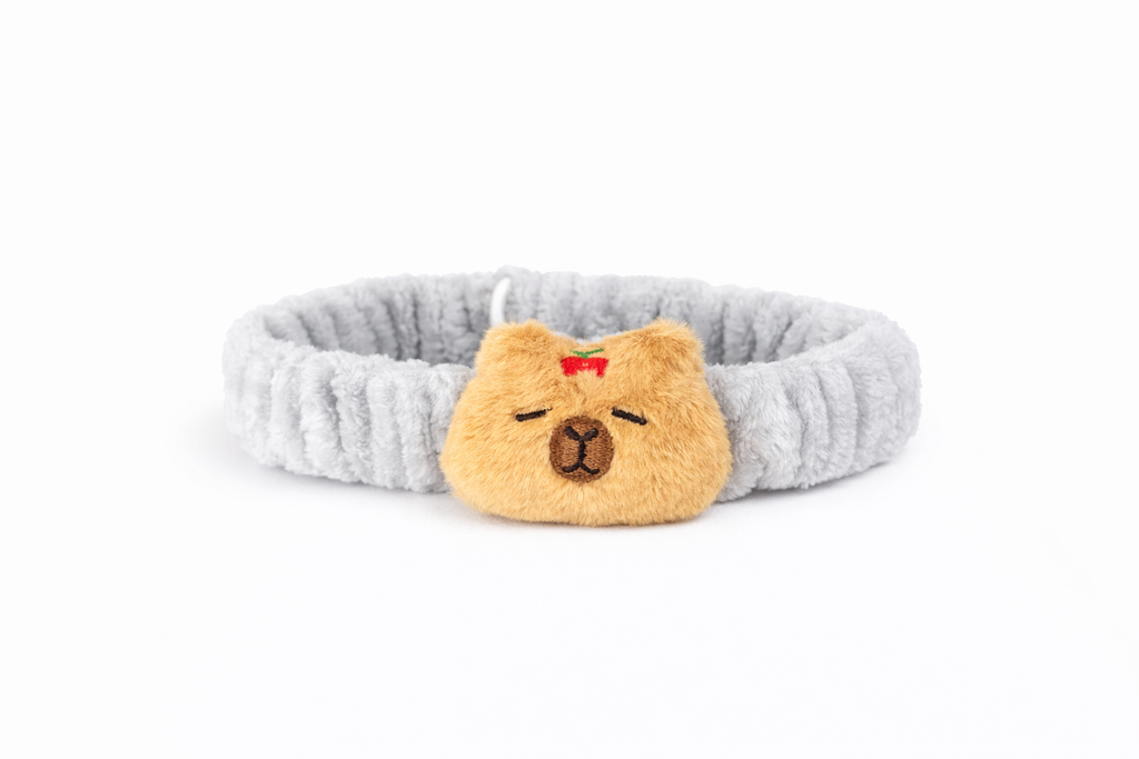 🎀 Cintillo SkinCare